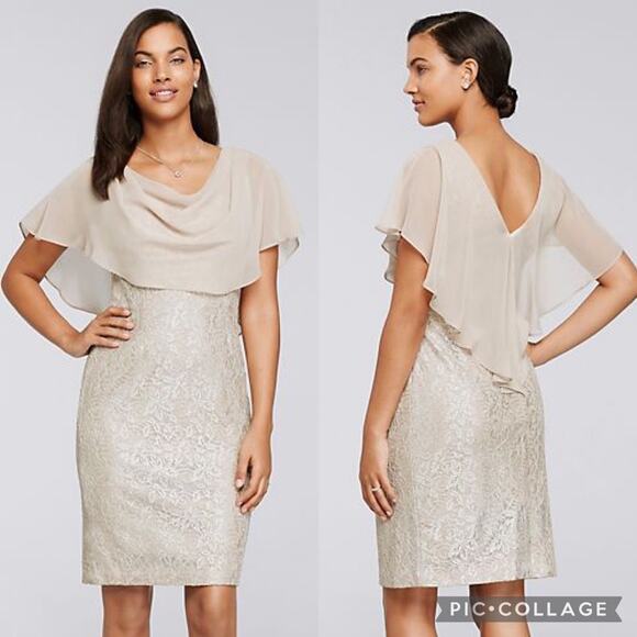 JESSICA HOWARD Short Glitter Lace Dress With Chiffon Capelet In Champagne Sz 12 - Picture 1 of 15